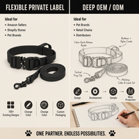 Ensemble collier et laisse tactiques pour chien avec boucle métallique, en nylon réglable, marque personnalisée pour l'entraînement, la promenade et les activités de plein air