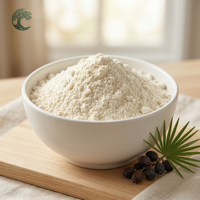 Extrait de palmier nain en poudre fine blanche, qualité alimentaire, 25% et 40% d'acides gras, pour la santé de la prostate, vente en gros, directement de l'usine