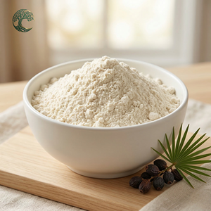 Suministro de Fábrica al por Mayor: Extracto de Fruta de Saw Palmetto en Polvo de Grado Alimenticio con 25% y 40% de Ácidos Grasos para el Apoyo a la Salud de la Próstata - Product Image 3