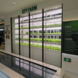 LED à spectre complet pour serre tente hydroponique cadre de plante <span class=keywords><strong>germination</strong></span> semis <span class=keywords><strong>lampe</strong></span> de culture de légumes - Product Image 3