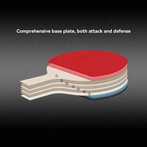 Raquettes <span class=keywords><strong>de</strong></span> tennis <span class=keywords><strong>de</strong></span> table en bois Boli à <span class=keywords><strong>prix</strong></span> avantageux avec trois balles <span class=keywords><strong>de</strong></span> <span class=keywords><strong>ping</strong></span>-<span class=keywords><strong>pong</strong></span>, design <span class=keywords><strong>de</strong></span> poignée horizontale - Product Image 5