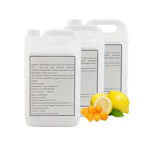 Formel Für Kumquat & Lemon Aromatisiertes Wasser Getränke 50 Mal Konzentrat Sirup Saft