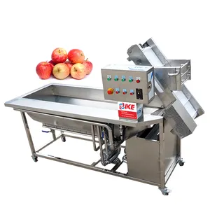 Customized Vegetable Washing Machine Eddy Current Apple Washing Line Electric Melon Washer Machine Automatic 3kw