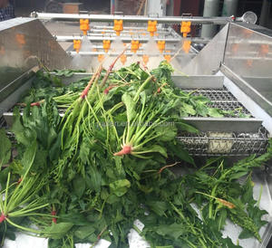Máquina de Lavar Vegetales de Hoja de Acero Inoxidable |   Máquina Lavadora de Vegetales <span class=keywords><strong>Leafty</strong></span> |   Máquina para Limpiar Vegetales - Product Image 1
