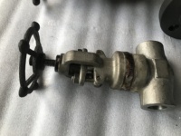 Vanne industrielle AD DOMOS en acier forgé, type bonnet soudé, en acier inoxydable haute pression, Globo Valvulas