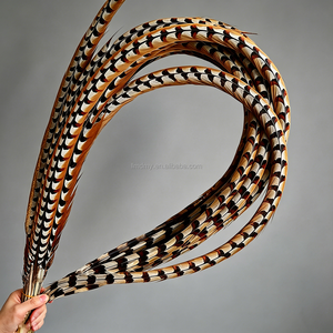 Plumas de Cola de Faisán Reeves Naturales Extra Largas al por Mayor de Fábrica para Disfraces de Carnaval - Product Image 1