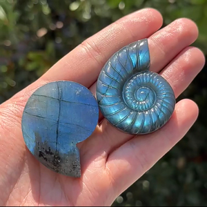 Labradorite, ammonite fossile, coquille de cristal polie, pierre naturelle, objet de collection artistique, éclat bleu, forme spirale colorée - Product Image 4