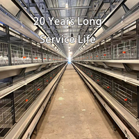 Cage à poules automatique de type H sur mesure pour grande poulaillerie en Oman