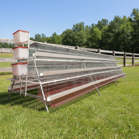 Cage à poulets galvanisée de type 3 niveaux 4 portes avec mangeoire pleine longueur et plateau à œufs pour ferme