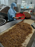 Brote de bambú orgánico secado al sol sin azufre, verduras conservadas naturales directamente de fábrica china