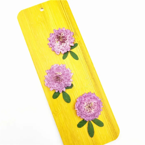 Fiori naturali pressati vero crisantemo essiccato <span class=keywords><strong>viola</strong></span> Mini <span class=keywords><strong>margherita</strong></span> per la decorazione del segnalibro di arte artigianale - Product Image 5