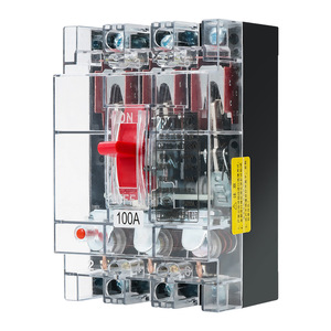 Disjoncteur moulé sous pression RmJmKg DZ15 100A 2P/3P pour usage industriel et de construction - Product Image 2