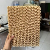 Panneaux de refroidissement par évaporation alvéolés à prix abordable pour serres de poulets de chair, équipement d'élevage