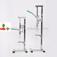 Machine à dénoyauter les dattes Medjool manuelle, machine à dénoyauter les fruits à noyau, machine à dénoyauter les dattes