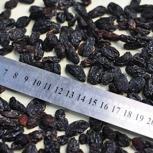 All'ingrosso a basso prezzo sfuso di uva passa nera essiccata al sole durata 1 anni gusto dolce uva passa ribes nero - Product Image 6