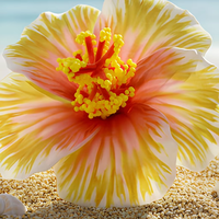 Jepit Rambut Busa Hibiscus Hawaii Pengantin, Lucu untuk Pesta Pernikahan, Kemasan Karton, Best Seller Grosir