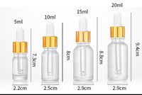 Vente flash : flacon en verre Boston de 30 ml, 60 ml, 120 ml avec compte-gouttes, bouchon argenté givré transparent pour traitement localisé