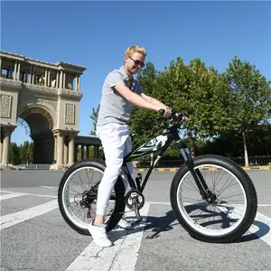 26*4.9 वसा बाइक टायर साइकिल पर्वत बाइक वसा टायर/वसा टायर इलेक्ट्रिक बाइक ब्रिटेन 26*4.8 maxxis मिनियन वसा बाइक टायर/वसा टायर बाइक