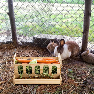 Mangiatoia Rettangolare in Legno per Animali Domestici con Design Rimovibile per Porcellini d'India e Conigli, Distributore di Cibo Transfrontaliero di Shenyang - Product Image 3