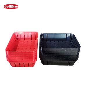 Quadrille Food Paper Canastas De Plastic Paniers en <span class=keywords><strong>plastique</strong></span> colorés avec matériau PP pour le stockage des aliments - Product Image 4