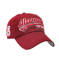 Gorra de Béisbol Personalizada con Diseño de Logotipo, Visera de Sol, Estilo Golf Duckbill, Bordado de Letras, Gorra Deportiva para Papá