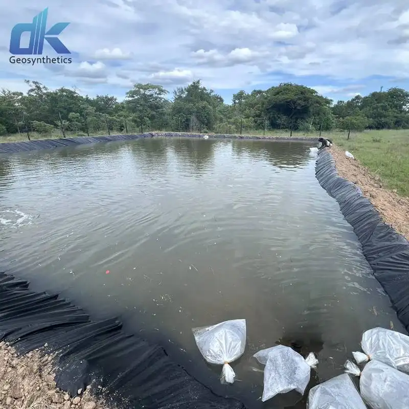 HDPE Geomembrane fish pond liner 0.5mm 0.75mm 1.0mm shrimp farming liner