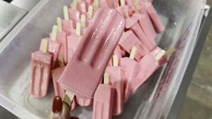 Máquina Eléctrica Rotatoria Automática de Acero Inoxidable para Hacer Helados en Palo, con 4 y 6 Moldes - Product Image 6