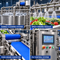 Automatische fruit- en groentesap puree verwerkingslijn voor mango, appel en ananas