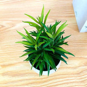 ต้นไม้ประดิษฐ์แบบไม้อวบน้ำในกระถาง ดอกไม้พีวีซีเนื้อนิ่ม ขนาด 20 ซม. บอนไซเล็ก รูปทรงมังคุด ตกแต่งบ้าน สำนักงาน โต๊ะทำงาน ส่งออกต่างประเทศ - Product Image 4