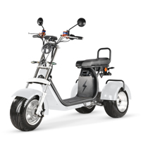 Scooter électrique à trois roues 2026, unisexe, pliable, étanche, batterie au lithium, tricycle cargo, 3 roues, autonomie de 60 à 80 km