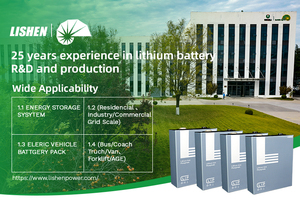 Batería LiFePO4 sin Mantenimiento para Actualización de Montacargas Una inversión inteligente para la eficiencia de los almacenes. - Product Image 6