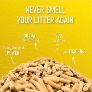 Arena para Gatos Ecológica de Madera de Pino, Absorbente, Control de Olores, Gránulos Aglomerantes Naturales para la Higiene de las Mascotas - Product Image 3