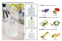 Ambientadores diffuseur de chambre parfum de maison roseau diffus cadeau ensembles150 ml air huile essentielle arôme diffuseur de roseau