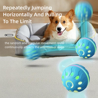 Balle de Luxe Automatique Moderne pour Animaux de Compagnie, Jouet à Mâcher en Plastique pour l'Auto-Entretenement, Article Tendance TikTok, Balle de Tirage Durable pour Chiens et Chats