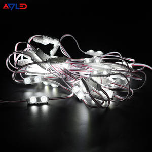 Módulos LED Mini de Alto Brillo con 2 LED, DC12V, IP68 Impermeable, CE ROHS, CRI80, SMD2835, Módulo de Inyección, 5 Años de Garantía, para Exteriores - Product Image 3