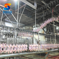 Équipement d'abattage de poulet 300BPH-15000BPH Prix ligne d'abattoir de poulet entièrement automatique