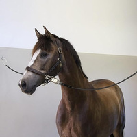 Sangles de sécurité en silicone résistantes aux morsures et imperméables pour attache croisée de remorque à chevaux