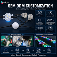 Luces de Cadena de Bolas de Píxeles Inteligentes RGB Direccionables DMX512 UCS2903 de 50 mm, DC24V, IP67, Impermeables, para Decoración Navideña en Exteriores