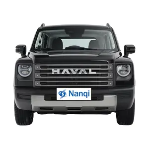Neuester beliebter chinesischer Haval Raptor kompakter Gelände-SUV HAVAL New Energy