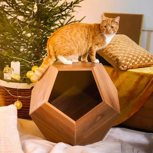 Mobilier de luxe sur mesure, maisonnette d'intérieur pour animaux, chaleureuse pour l'hiver, en bois, avec fermeture à bouton, motif animalier, fabricant de villas pour animaux - Product Image 2