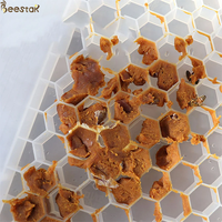 BEESTAR Langstroth Accessoires d'apiculture Nouveau mangeoire à abeilles multifonction en plastique et accessoire de ruche