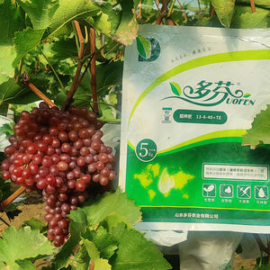 Culture d'intérieur personnalisée Npk pour plantes à fleurs Nutrition Comprimés <span class=keywords><strong>Engrais</strong></span> organique - Product Image 1