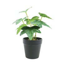 Plante artificielle de lierre en pot, 7 feuilles variées, 28 cm de haut, simulation de bonsaï