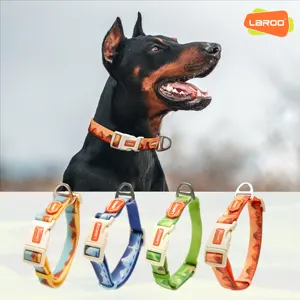 Laroo宠物用品防水耐用狗宠物项圈皮带套装PVC宠物训练项圈适用于中大狗