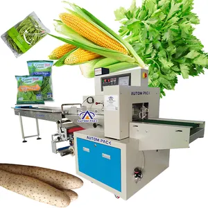 Caja Horizontal Completamente Automática Vegetal, Patata, Seta, Lechuga, Frutas, Bolsa de Plástico, Máquina de Envoltura de Almohada
