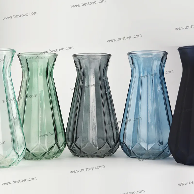 Kreatives Glas in Vasen glas/Wasser nährt die Blumenvase
