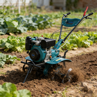 Micro-cultivateur 2 rangs 50 kg avec boîte de vitesses 192CC, moteur diesel 135 de 10 CV, haute efficacité, économie d'énergie, faible consommation de carburant