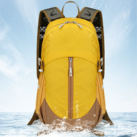 Sac à dos de randonnée et d'escalade unisexe léger 18L en nylon imperméable avec logo personnalisé pour les sports et voyages en plein air