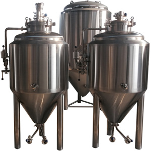 微型小型家用酿造设备200l啤酒发酵罐