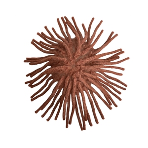 Toupet legato a mano 100% capelli umani sistema 8*10 Dreadlocks stile 130% densità da <span class=keywords><strong>uomo</strong></span> 9 pollici pieno pizzo colore rosa - Product Image 1